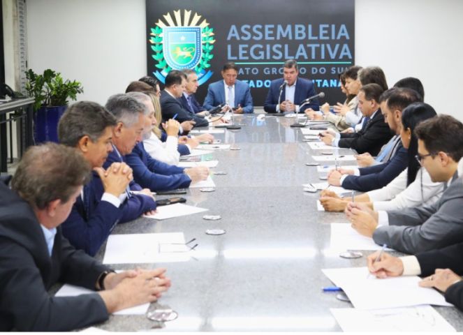 Riedel apresenta balanço do ano e perspectivas para 2025 à Alems ...